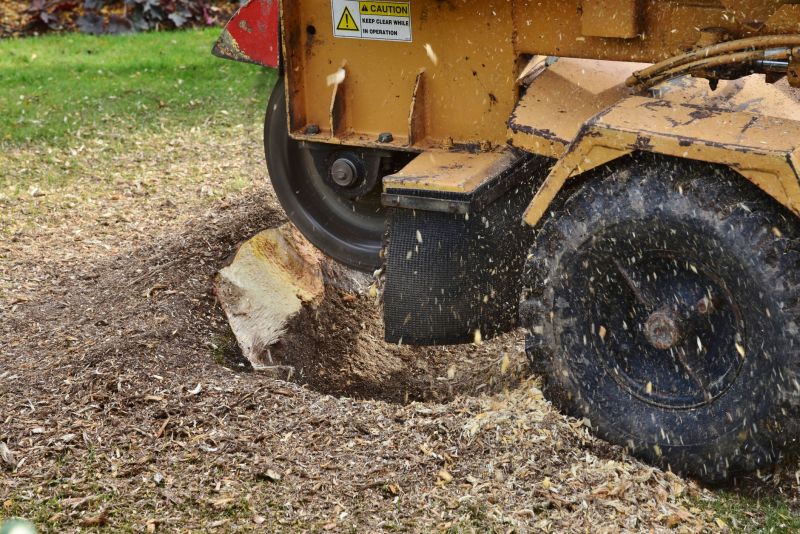 Stump removal process