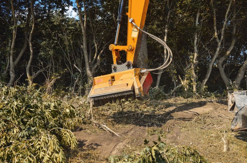 Tree Removal Equipment in Action