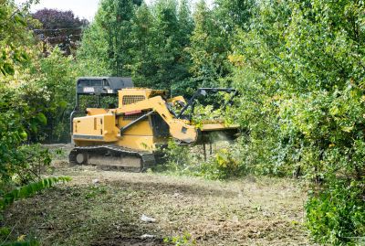 Heavy Machinery in Land Clearing