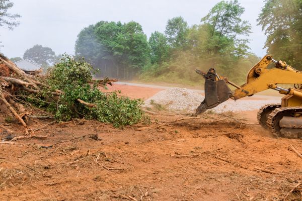 Forestry Mulching Service in Beaumont